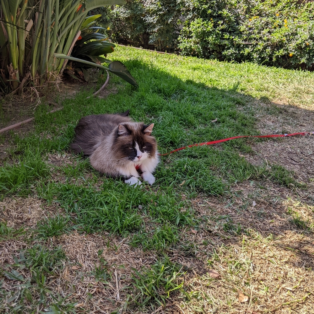 Meet your Posher, Deborah